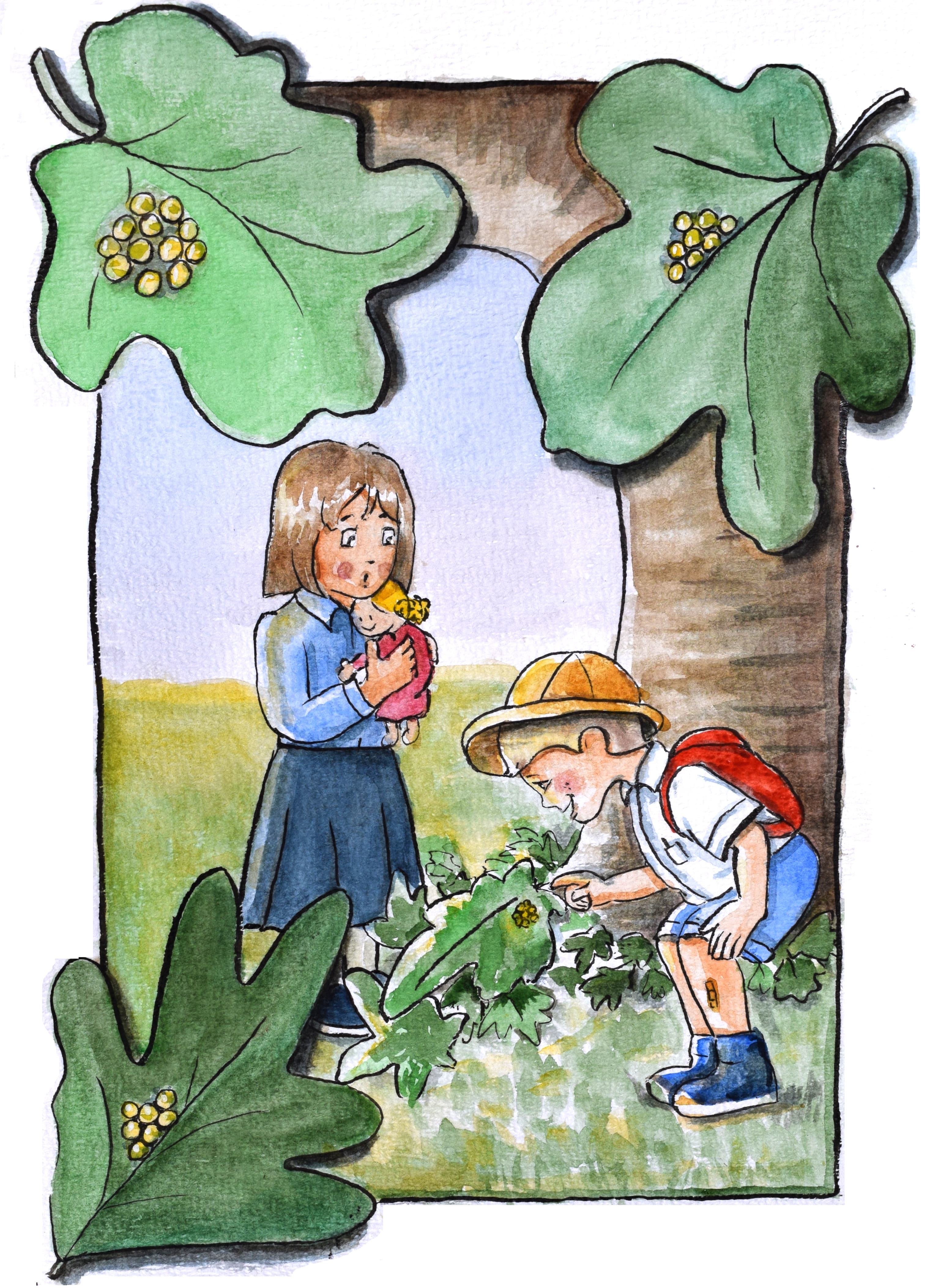 Exploring the Fig Tree